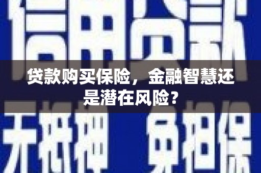伊宁贷款购买保险，金融智慧还是潜在风险？
