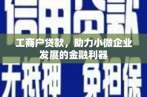 伊宁工商户贷款，助力小微企业发展的金融利器