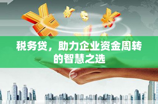 伊宁税务贷，助力企业资金周转的智慧之选