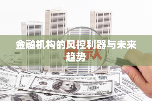 伊宁金融机构的风控利器与未来趋势