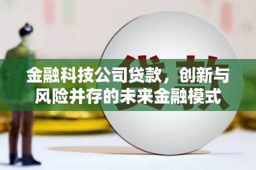伊宁金融科技公司贷款，创新与风险并存的未来金融模式