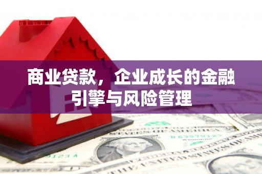 伊宁商业贷款，企业成长的金融引擎与风险管理