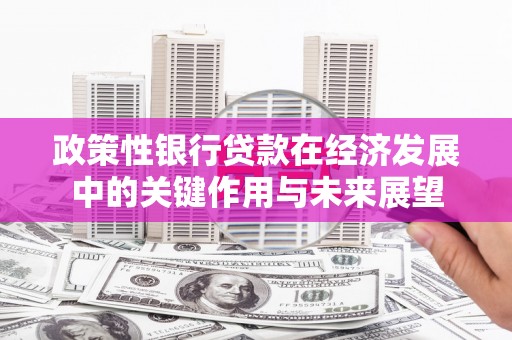 伊宁政策性银行贷款在经济发展中的关键作用与未来展望