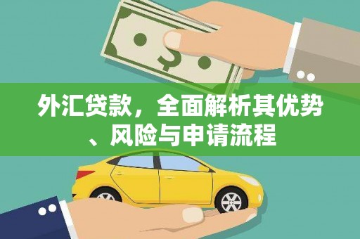 伊宁外汇贷款，全面解析其优势、风险与申请流程