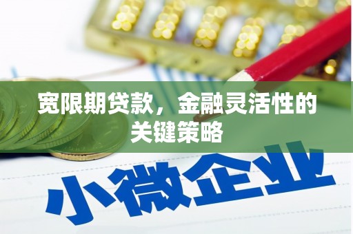 伊宁宽限期贷款，金融灵活性的关键策略