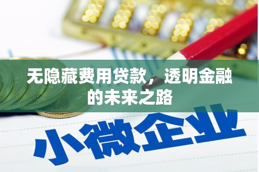 伊宁无隐藏费用贷款，透明金融的未来之路