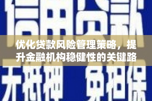 伊宁优化贷款风险管理策略，提升金融机构稳健性的关键路径