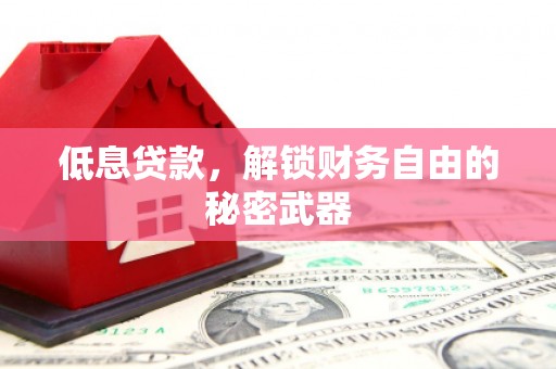 伊宁低息贷款，解锁财务自由的秘密武器