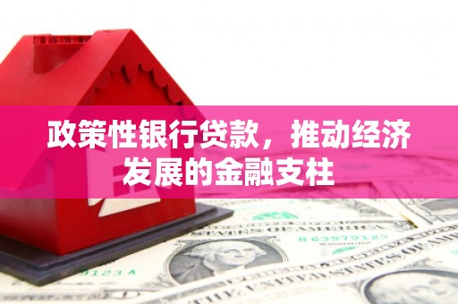伊宁政策性银行贷款，推动经济发展的金融支柱
