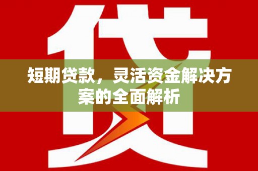 伊宁短期贷款，灵活资金解决方案的全面解析