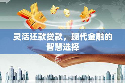 伊宁灵活还款贷款，现代金融的智慧选择