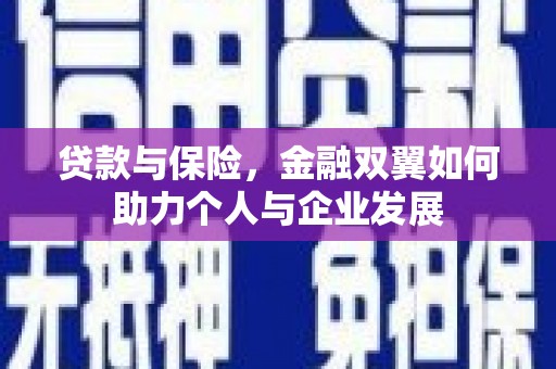 伊宁贷款与保险，金融双翼如何助力个人与企业发展