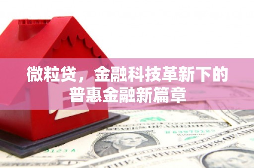 伊宁微粒贷，金融科技革新下的普惠金融新篇章