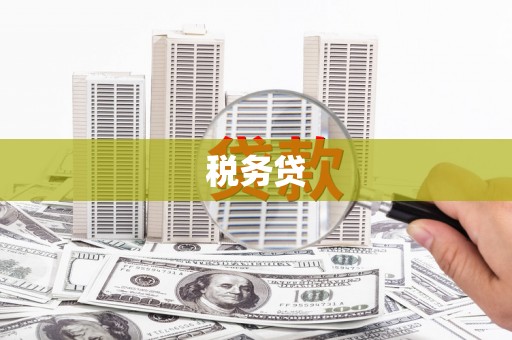 伊宁税务贷