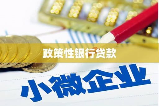 伊宁政策性银行贷款