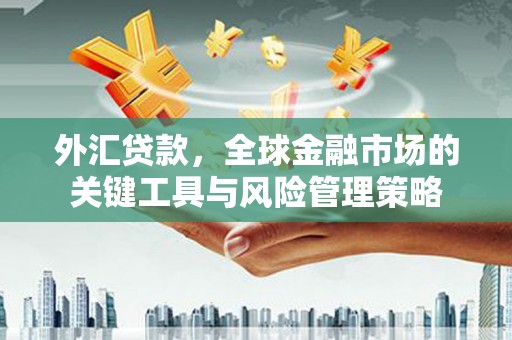 伊宁外汇贷款，全球金融市场的关键工具与风险管理策略
