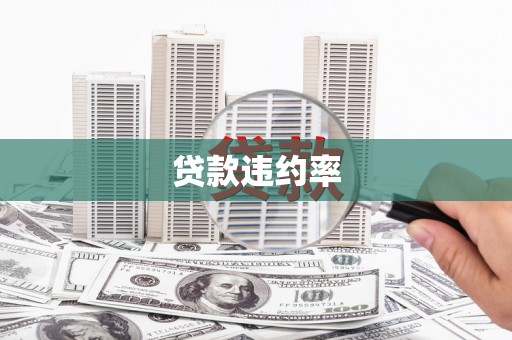伊宁贷款违约率