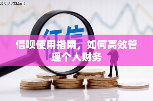 伊宁借呗使用指南，如何高效管理个人财务