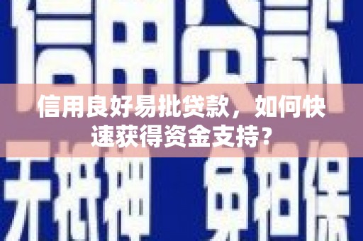 伊宁信用良好易批贷款，如何快速获得资金支持？