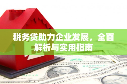 伊宁税务贷助力企业发展，全面解析与实用指南