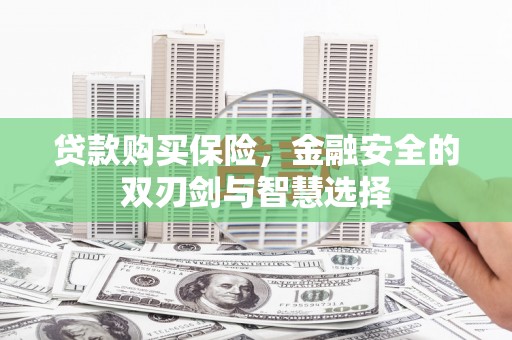 伊宁贷款购买保险，金融安全的双刃剑与智慧选择