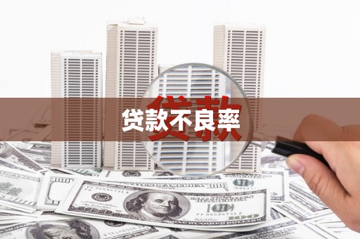伊宁贷款不良率