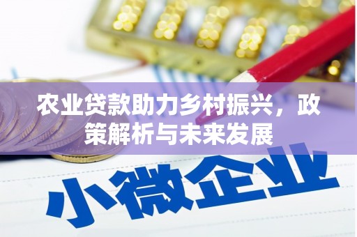 伊宁农业贷款助力乡村振兴，政策解析与未来发展