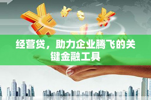 伊宁经营贷，助力企业腾飞的关键金融工具