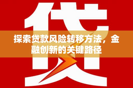 伊宁探索贷款风险转移方法，金融创新的关键路径
