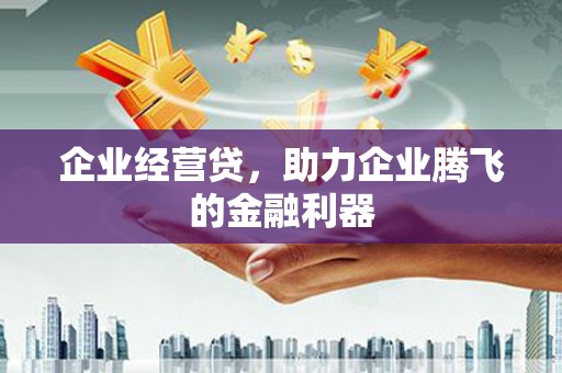 伊宁企业经营贷，助力企业腾飞的金融利器