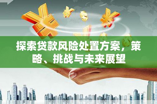 伊宁探索贷款风险处置方案，策略、挑战与未来展望
