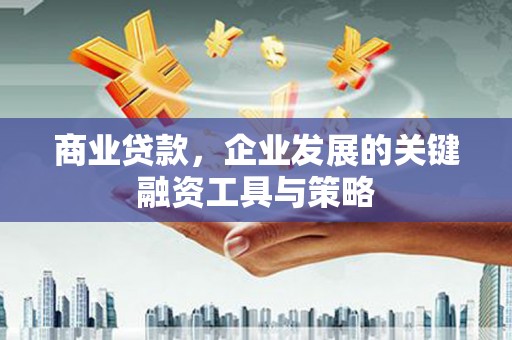 伊宁商业贷款，企业发展的关键融资工具与策略