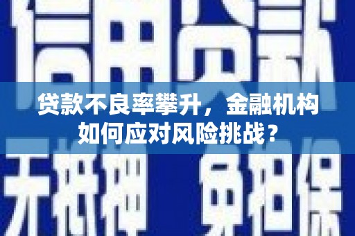 伊宁贷款不良率攀升，金融机构如何应对风险挑战？