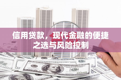 伊宁信用贷款，现代金融的便捷之选与风险控制