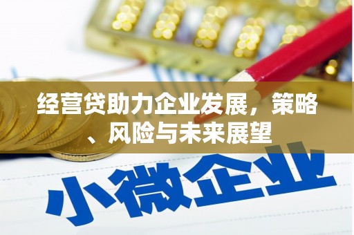 伊宁经营贷助力企业发展，策略、风险与未来展望