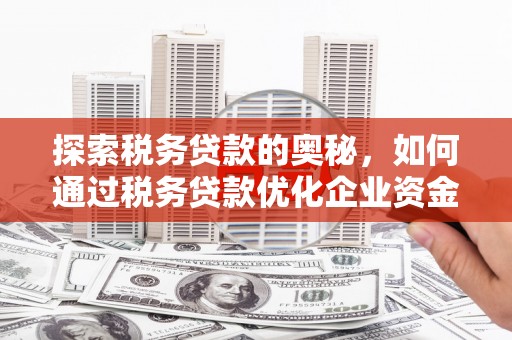 伊宁探索税务贷款的奥秘，如何通过税务贷款优化企业资金流