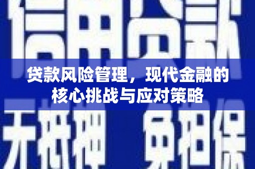 伊宁贷款风险管理，现代金融的核心挑战与应对策略
