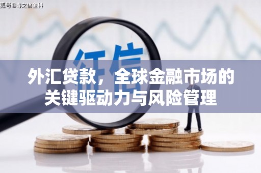 伊宁外汇贷款，全球金融市场的关键驱动力与风险管理