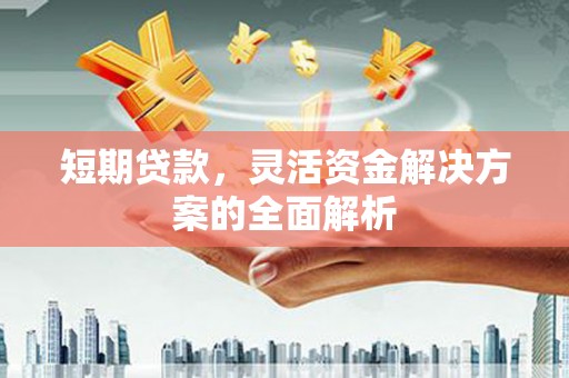 伊宁短期贷款，灵活资金解决方案的全面解析