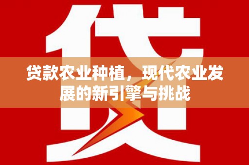 伊宁贷款农业种植，现代农业发展的新引擎与挑战