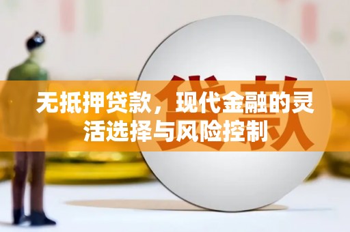 伊宁无抵押贷款，现代金融的灵活选择与风险控制