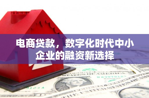 伊宁电商贷款，数字化时代中小企业的融资新选择