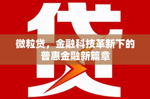 伊宁微粒贷，金融科技革新下的普惠金融新篇章