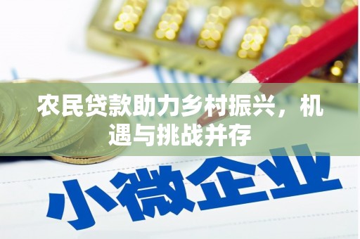 伊宁农民贷款助力乡村振兴，机遇与挑战并存