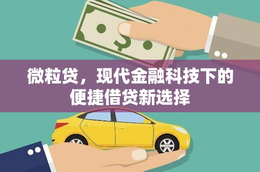 伊宁微粒贷，现代金融科技下的便捷借贷新选择