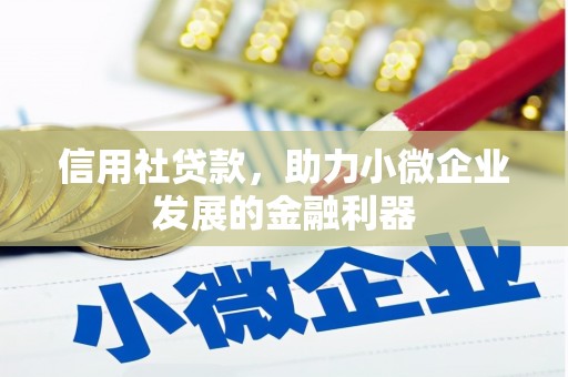 伊宁信用社贷款，助力小微企业发展的金融利器
