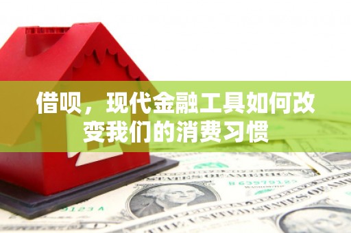 伊宁借呗，现代金融工具如何改变我们的消费习惯