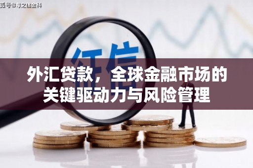 伊宁外汇贷款，全球金融市场的关键驱动力与风险管理