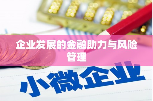 伊宁企业发展的金融助力与风险管理