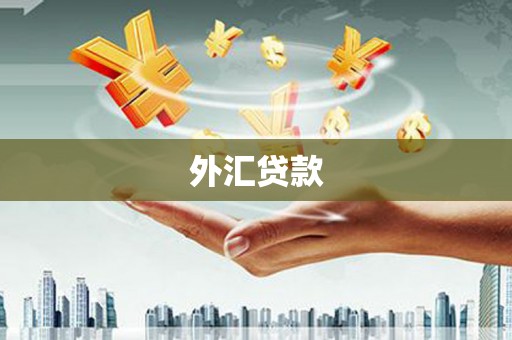 伊宁外汇贷款